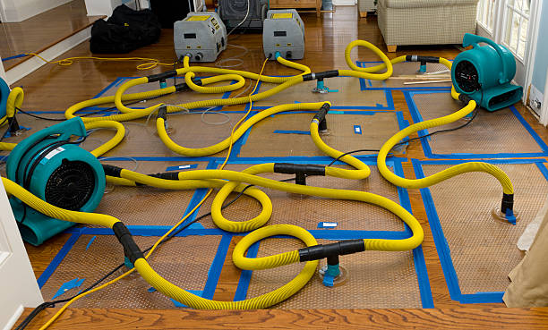 Professional Burst Pipe Water Damage technician working in Mulino, OR